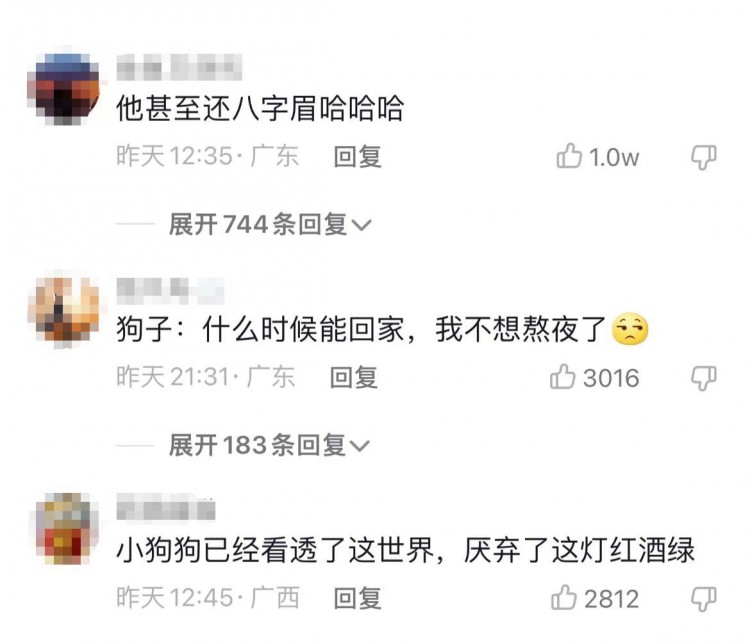 桂林酒吧里的忧愁狗狗走红！网友：人和狗的悲喜并不相通