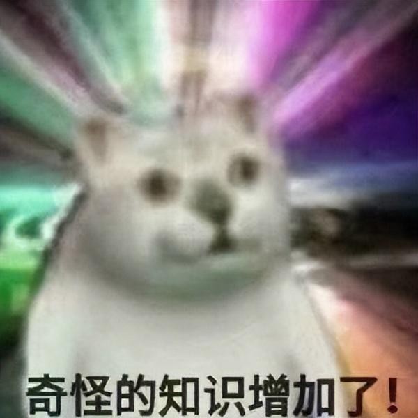 如果我死了我的猫会把我吃掉吗